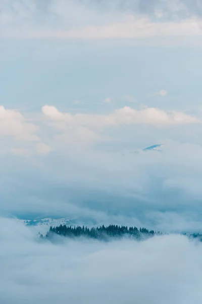 Scenic view of snowy mountains with pine trees in white fluffy clouds — Stock Photo