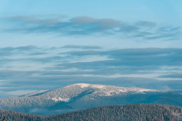 Vista panorâmica de montanhas nevadas com pinheiros em sol — Fotografia de Stock