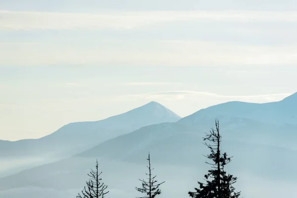 Vista panoramica sulle montagne con pini al sole — Foto stock