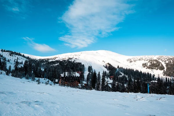 Vista panoramica del villaggio di montagna innevato tra con pini al sole — Foto stock