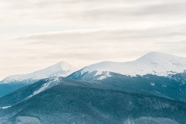 Vista panorámica de montañas nevadas con pinos en blancas nubes esponjosas - foto de stock