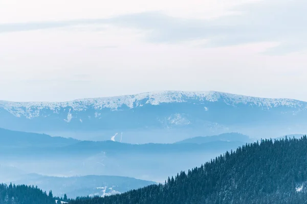 Vue panoramique sur les montagnes enneigées avec pins et ciel nuageux — Photo de stock