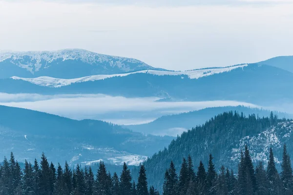 Vista panoramica delle montagne innevate con pini e cielo nuvoloso — Foto stock