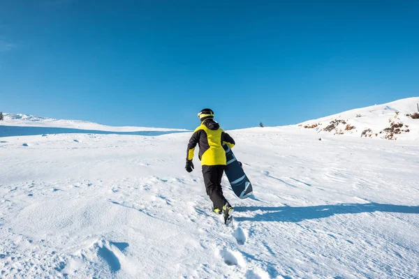 Вид сзади спортсмена, держащего сноуборд во время прогулки по снегу — стоковое фото