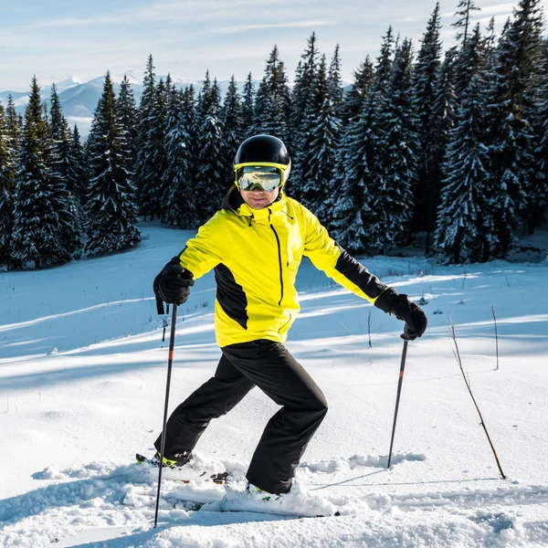 Skier in goggles and helmet walking on snow near firs — Stock Photo