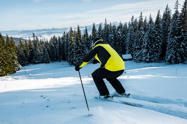 Vista posteriore dello sciatore in casco sciare sulla neve vicino abeti — Foto stock