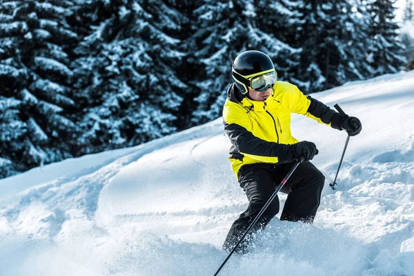 Sciatore in maschera e casco con bastoncini da sci e sci vicino all'abete — Foto stock