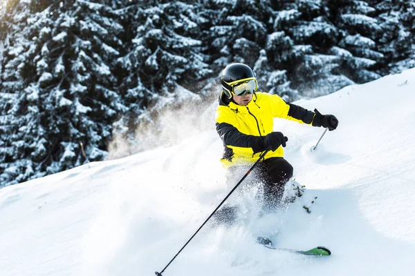 Sunshine on skier in goggles and helmet holding ski sticks while skiing near firs — Stock Photo