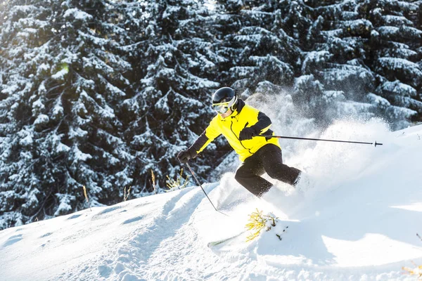 Sportsman in goggles holding ski sticks while skiing on snow near pines — Stock Photo