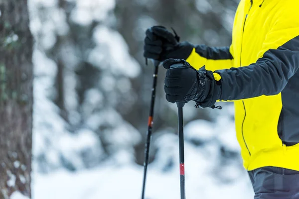 Vista recortada del esquiador sosteniendo bastones de esquí en invierno - foto de stock