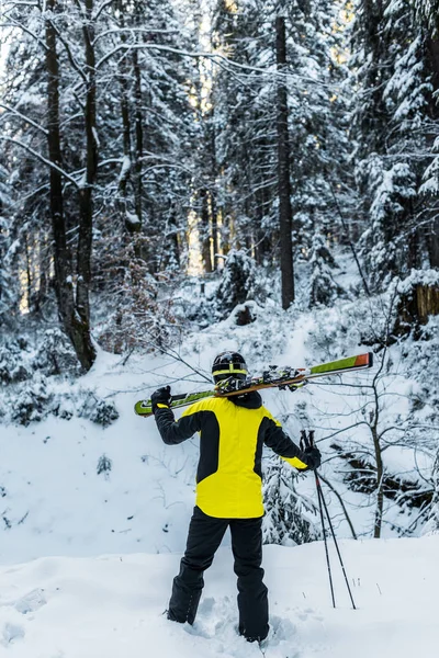 Rückansicht des Skifahrers im Helm, der Skistöcke und Skier hält, während er in der Nähe von Tannen steht — Stockfoto