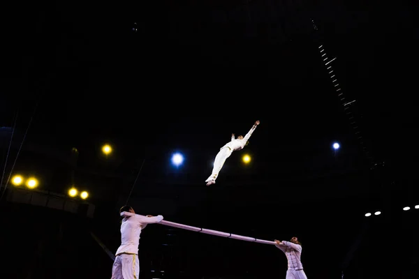 Vista ad angolo basso di acrobata aerea che salta vicino al palo e gli uomini nel circo — Foto stock