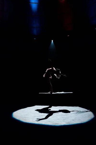 Silhueta de acrobata aéreo atuando em corda no circo — Fotografia de Stock