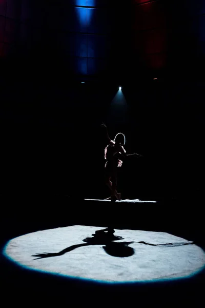 Silhouette of flexible acrobat on rope in circus — Stock Photo