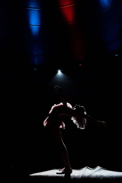 Silhueta de acrobata aéreo em corda em arena de circo — Fotografia de Stock