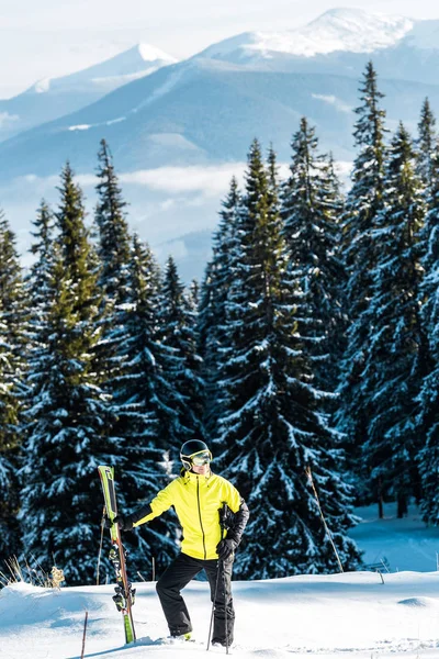 Esquiador sosteniendo bastones de esquí mientras está de pie sobre la nieve cerca de los pinos - foto de stock