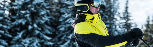 Plan panoramique du skieur en lunettes et casque près des pins — Photo de stock