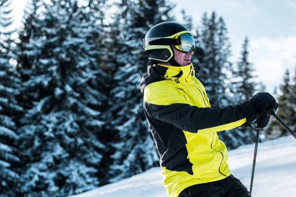 Skier in goggles and helmet near pines — Stock Photo