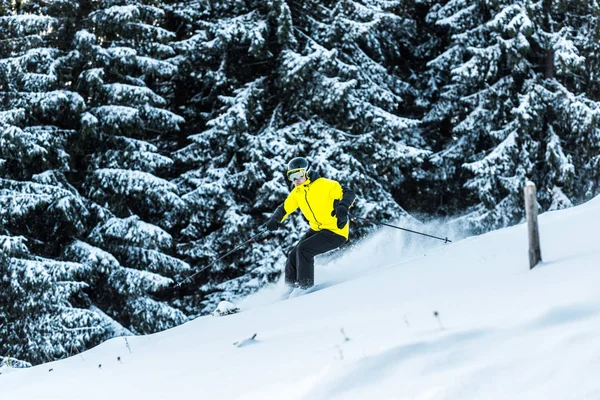 Sportif en lunettes tenant des bâtons de ski tout en skiant près des sapins — Photo de stock