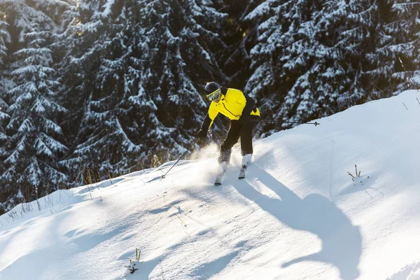 Sportsman in helmet holding ski sticks while skiing on snow near firs in wintertime — Stock Photo