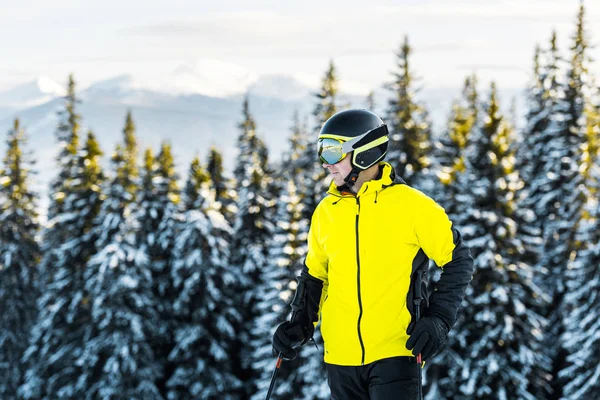 Handsome skier in goggles and helmet standing near green firs in mountains — Stock Photo