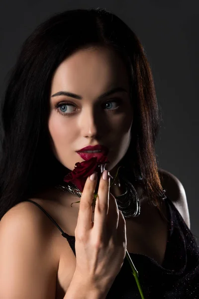 Elegant brunette woman holding rose flower, isolated on grey — Stock Photo
