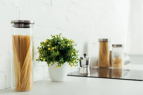 Tarro de vidrio con pasta sin cocer cerca de la planta verde - foto de stock