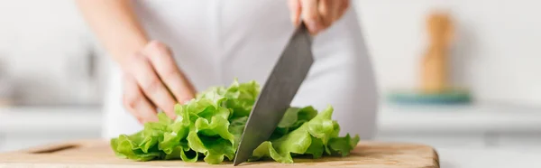 Foto panorámica de niña cortando lechuga orgánica en la tabla de cortar - foto de stock