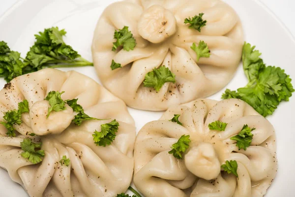 Vista de cerca de la deliciosa Khinkali con cilantro y pimienta negra en el plato blanco - foto de stock