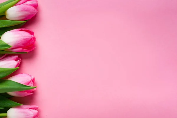 Vista dall'alto di fila di tulipani su sfondo rosa con spazio di copia — Foto stock