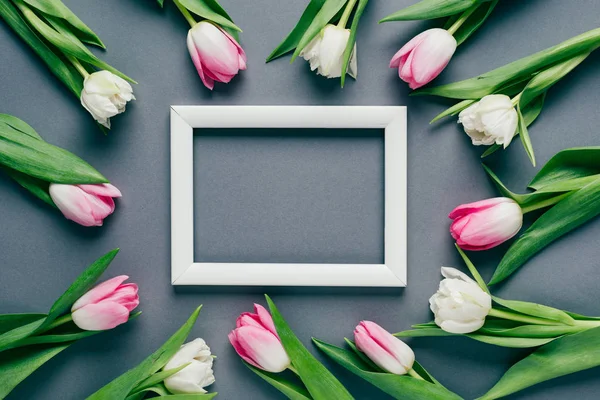 Вид зверху на тюльпани навколо білої рамки на сірій поверхні — стокове фото