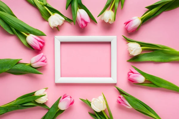 Draufsicht der Tulpen um weißen leeren Rahmen auf rosa Hintergrund — Stockfoto