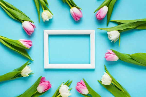 Vista superior de tulipas em torno de moldura branca vazia na superfície azul — Fotografia de Stock