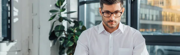 Plano panorámico de traductor masculino profesional en gafas que trabajan en la oficina moderna — Stock Photo