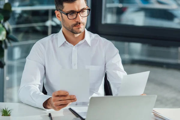 Handsome professional translator working with documents and laptop in office — Stock Photo