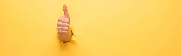 Cropped view of man showing thumb up through yellow paper hole, panoramic shot — Stock Photo