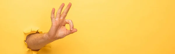 Recortado vista del hombre mostrando ok signo a través de agujero de papel amarillo, tiro panorámico - foto de stock