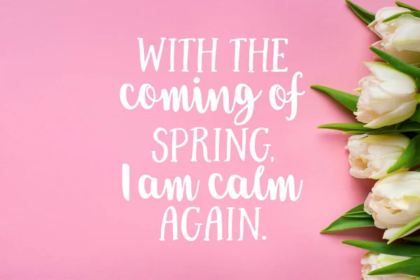 Vista superior de tulipanes blancos sobre fondo rosa, con la llegada de la primavera estoy tranquilo ilustración de nuevo - foto de stock
