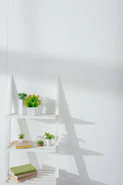 Plantas e livros na estante perto da parede branca com luz solar — Fotografia de Stock