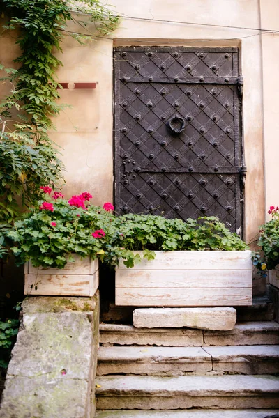 Fachada de edificio con escaleras y cajas de madera con plantas - foto de stock