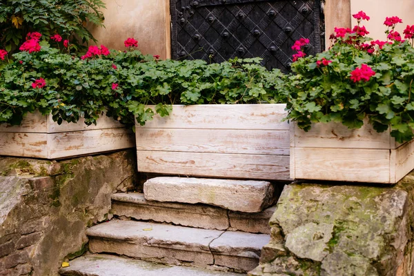 Stone stairs with wooden boxes with plants — Stock Photo