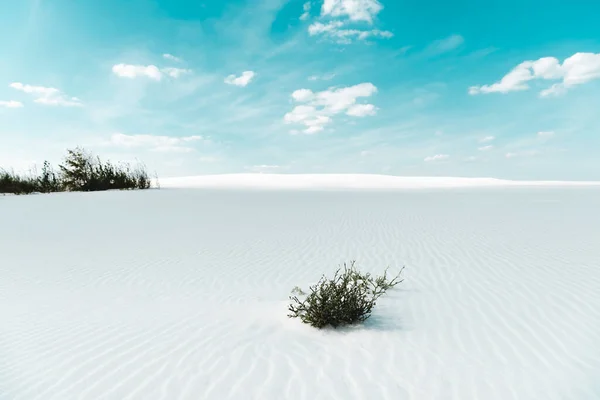 Bela praia com areia branca com plantas e céu azul com nuvens brancas — Fotografia de Stock