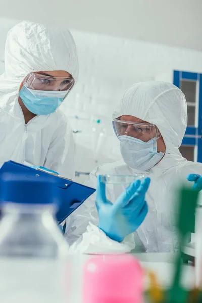 Selective focus of two biochemists looking at petri dish in laboratory — Stock Photo