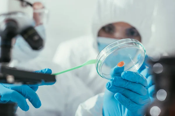 Cropped view of biochemist holding spatula and petri dish with biomaterial near colleague — Stock Photo