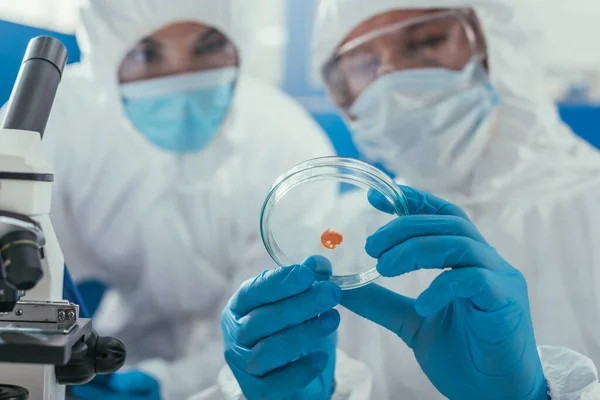 Selective focus of biochemist holding petri dish with biomaterial near microscope and colleague — Stock Photo