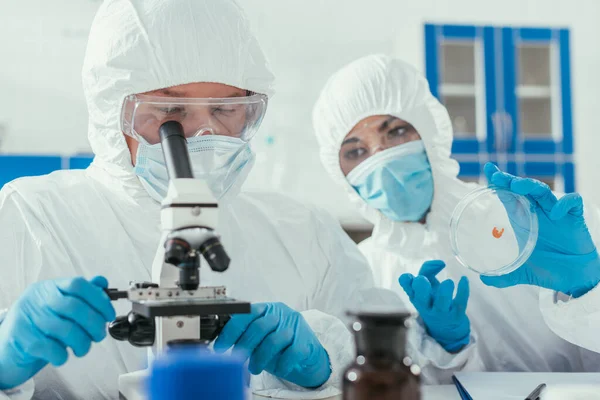 Biochemist looking through microscope while colleague holding petri dish — Stock Photo