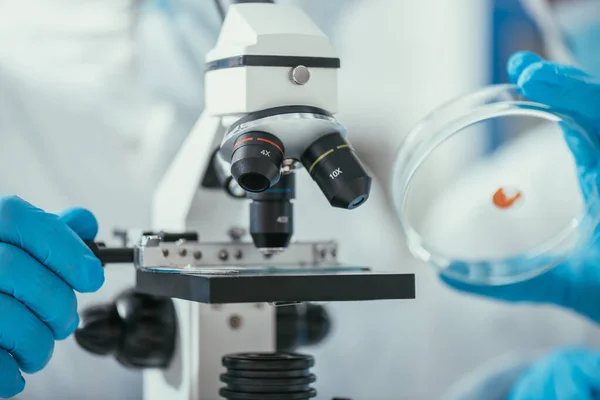 Частичный обзор биохимика, держащего чашку Петри с биоматериалом рядом с микроскопом — стоковое фото