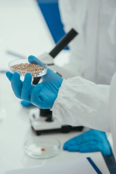 Vue recadrée du biochimiste tenant une boîte de Pétri avec du gravier près de son collègue — Photo de stock