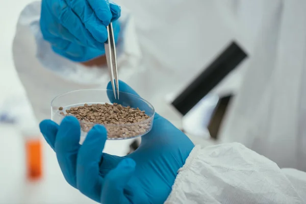 Vue partielle du biochimiste prenant une petite pierre de la boîte de Pétri avec une pince à épiler — Photo de stock