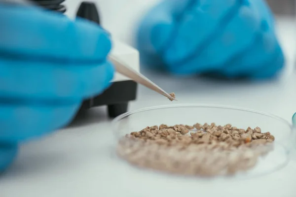 Vue recadrée du biochimiste prenant une petite pierre de la boîte de Pétri avec une pince à épiler — Photo de stock